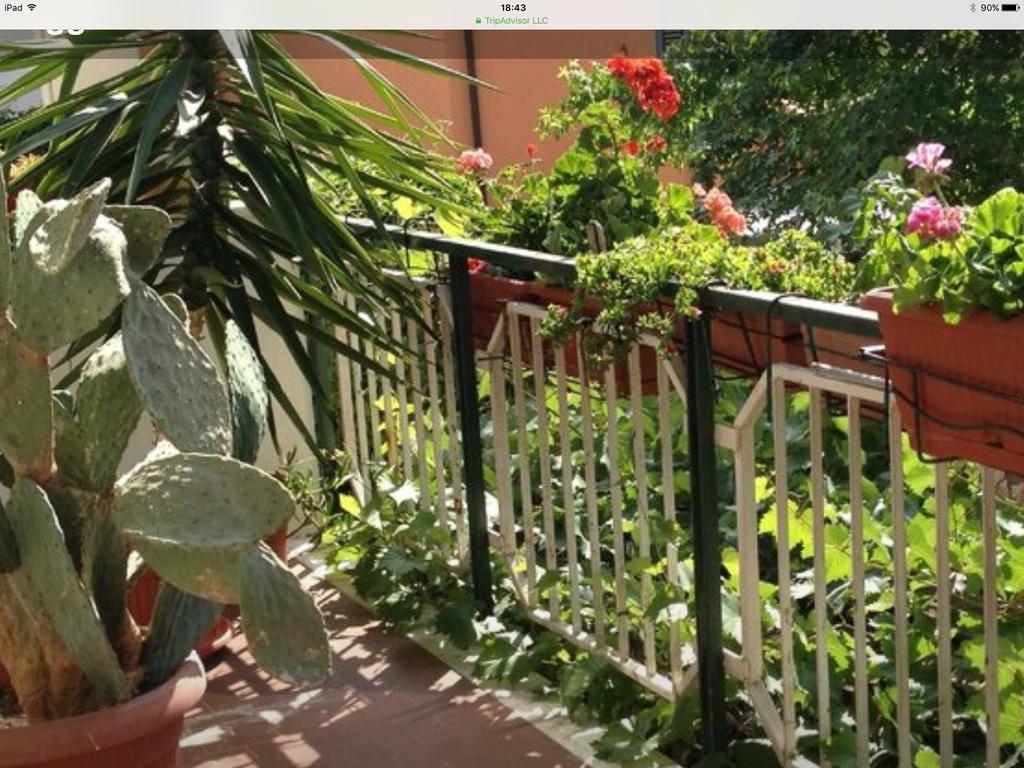 Hotel Mirella Rimini Dış mekan fotoğraf