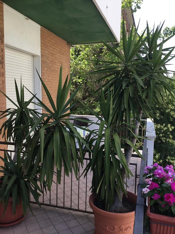 Hotel Mirella Rimini Dış mekan fotoğraf